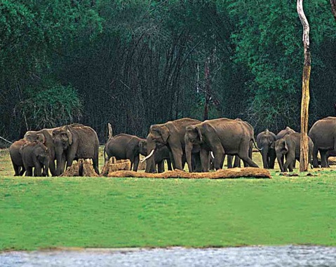 Chinnar Wildlife Sanctuary