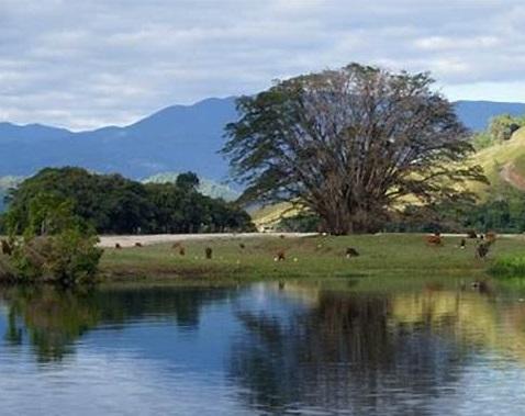 Periyar National Park