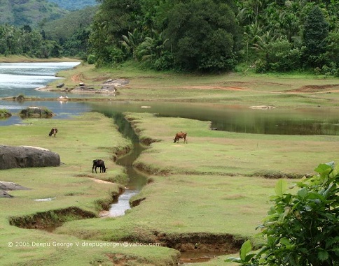 Peruvannamuzhi