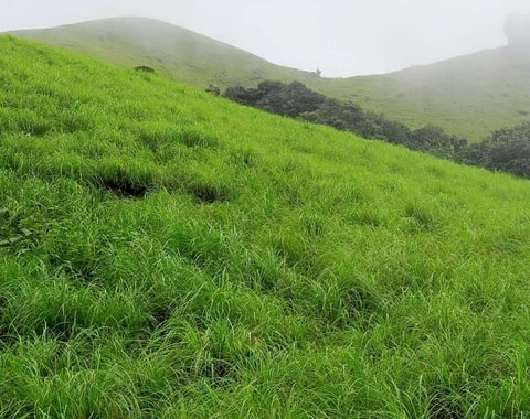 Ranipuram Hills